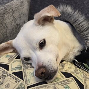 Meet your Posher, Lian